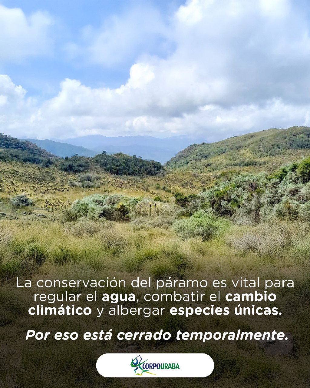 Paisaje de Urrao - Naturaleza